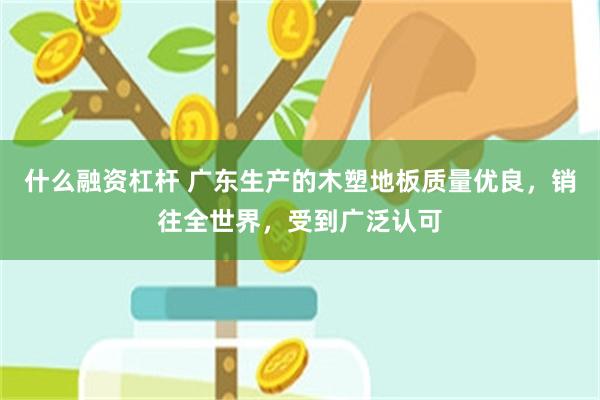 什么融资杠杆 广东生产的木塑地板质量优良，销往全世界，受到广泛认可