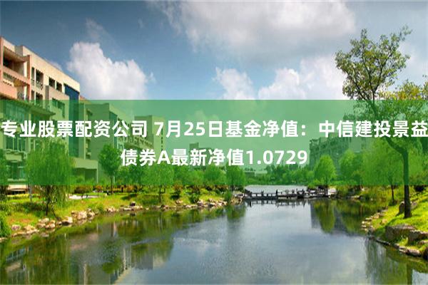 专业股票配资公司 7月25日基金净值：中信建投景益债券A最新净值1.0729