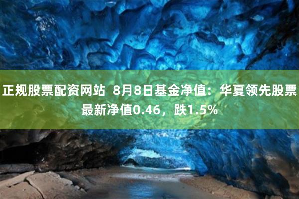 正规股票配资网站  8月8日基金净值：华夏领先股票最新净值0.46，跌1.5%