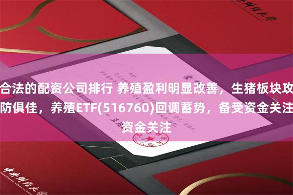 合法的配资公司排行 养殖盈利明显改善，生猪板块攻防俱佳，养殖ETF(516760)回调蓄势，备受资金关注