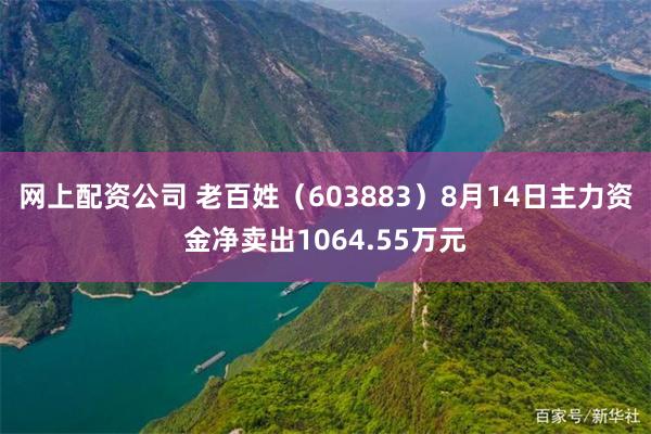 网上配资公司 老百姓（603883）8月14日主力资金净卖出1064.55万元