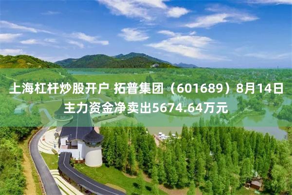 上海杠杆炒股开户 拓普集团（601689）8月14日主力资金净卖出5674.64万元