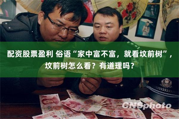 配资股票盈利 俗语“家中富不富，就看坟前树”，坟前树怎么看？有道理吗？