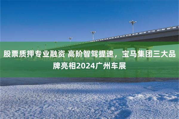 股票质押专业融资 高阶智驾提速，宝马集团三大品牌亮相2024广州车展